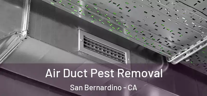 Air Duct Pest Removal San Bernardino - CA