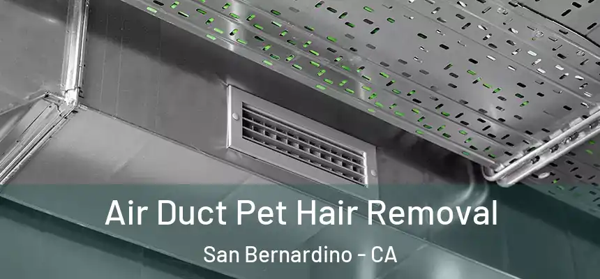  Air Duct Pet Hair Removal San Bernardino - CA