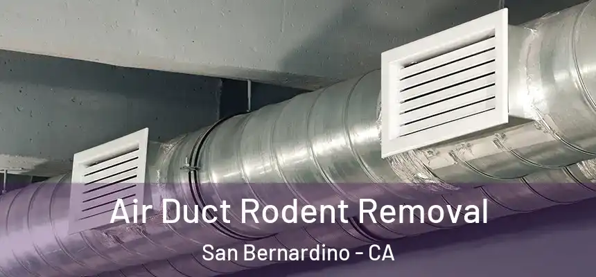 Air Duct Rodent Removal San Bernardino - CA