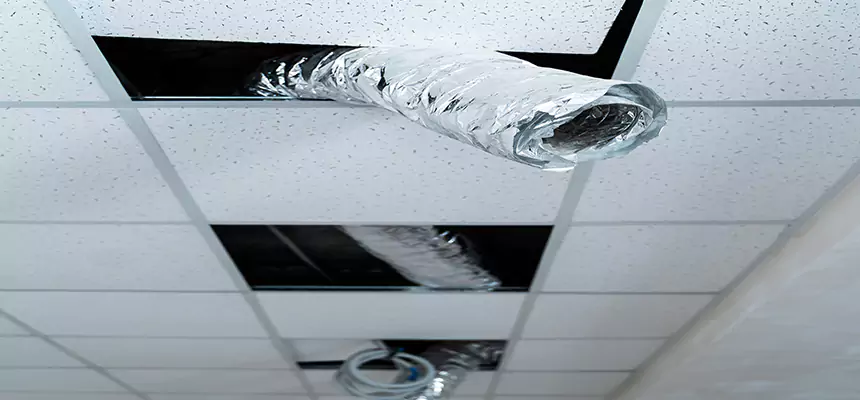 Our Air Duct Pet Hair Removal Services in San Bernardino, CA