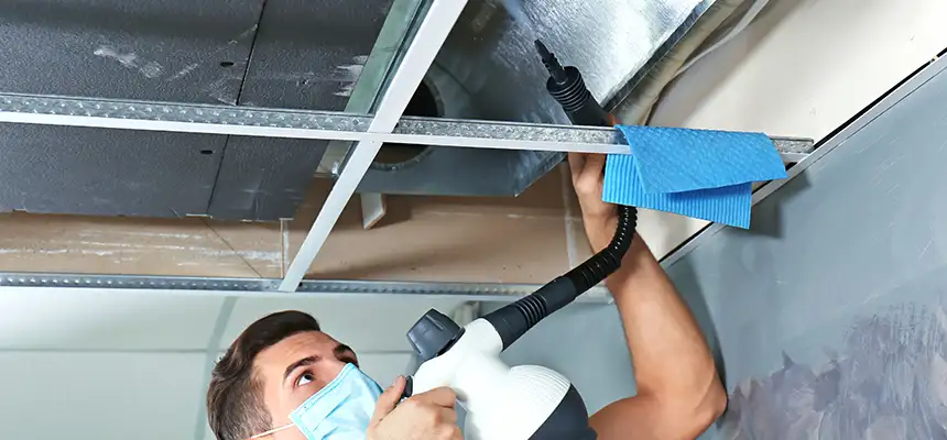 Our Air Duct Rodent Removal Services in San Bernardino, CA