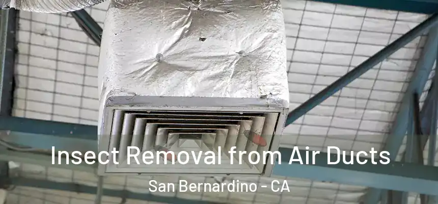 Insect Removal from Air Ducts San Bernardino - CA