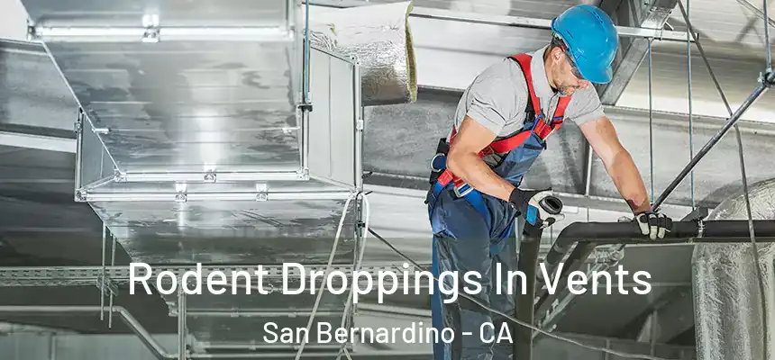  Rodent Droppings In Vents San Bernardino - CA