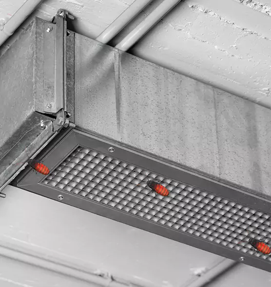 Affordable Insect Removal from Air Ducts in San Bernardino, CA