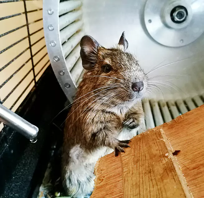 Why Homeowners & Businesses Trust Us San Bernardino, CA?