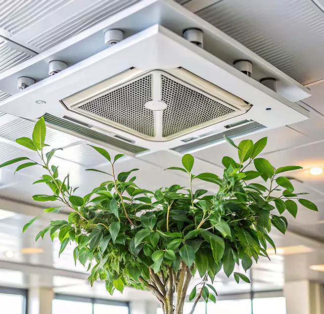 Why Homeowners & Businesses Trust Us in San Bernardino, CA